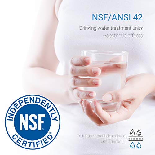 Ecoaqua Eff-6005A Replacement For Lg® Lt500P®, 5231Ja2002A, Adq72910901, Kenmore Gen11042Fr-08, 9890, 46-9890 Refrigerator Water Filter, 3 Pack #TOP2