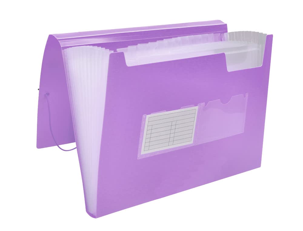 Folder liderpapel Classifier Bellows Polypropylene din a4 Lavender Opaque 13 Departments