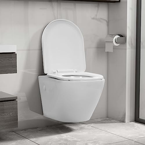 Inodoro de pared sin borde de cerámica vitrificada blanca premium 2