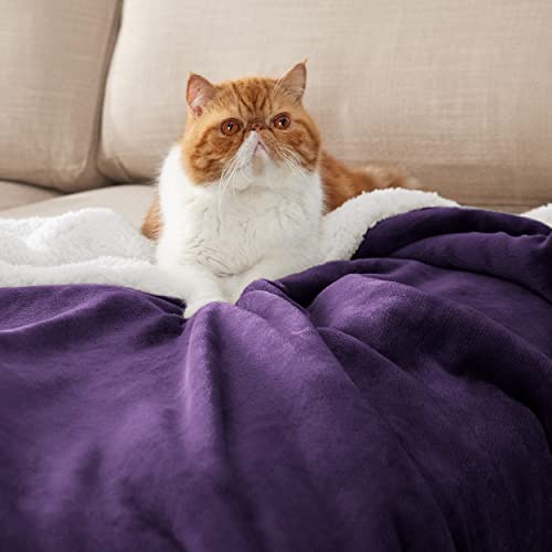 Bedsure Sherpa Fleece Throw Blanket For Couch - Thick And Warm Blankets For Winter, Soft And Fuzzy Throw Blanket For Sofa, Purple, 50X60 Inches #TOP1