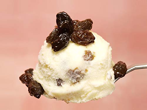 業務用イタリアンジェラート・ラムレーズン 4L