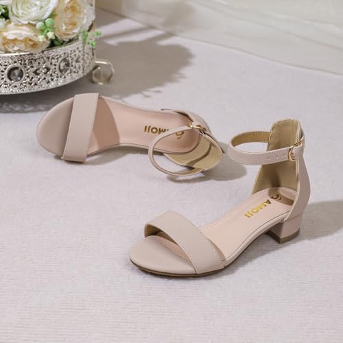 Image of Amoji Girls High Heels Kid Ankle Strap Dress Shoes Wedding Party for Little Kid Big Kid 412