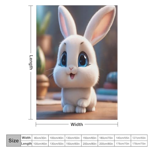 Couvertures en lapin haut de gamme 100% flannel super douce - 6