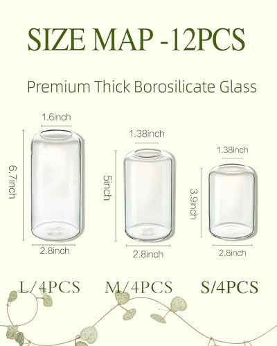 Image of ZENS Bud Vases in Bulk Set of 12, Modern Small Glass Vases for Flower Clear Bud Vases for Wedding Centerpiece, Blown Thicker Small Vase for Flowers, Wedding Party Decorative, Home Bathroom Decor