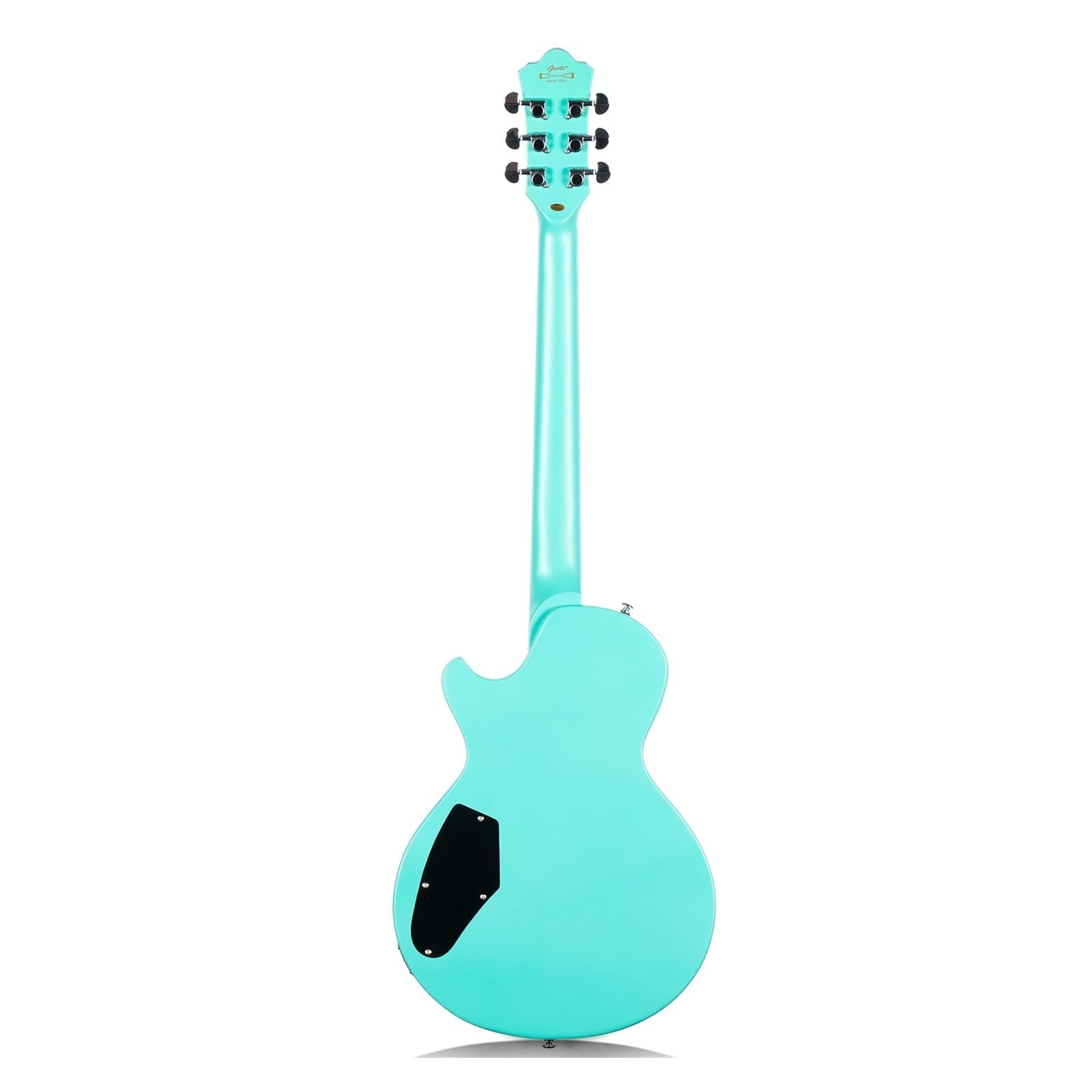 chitarra elettrica Professionale per principianti che vogliono esercitarsi con la chitarra elettrica