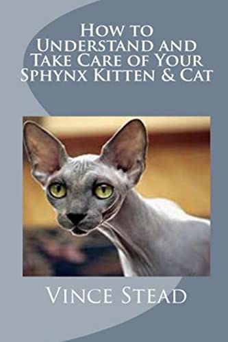 How to Understand and Take Care of Your Sphynx Kitten