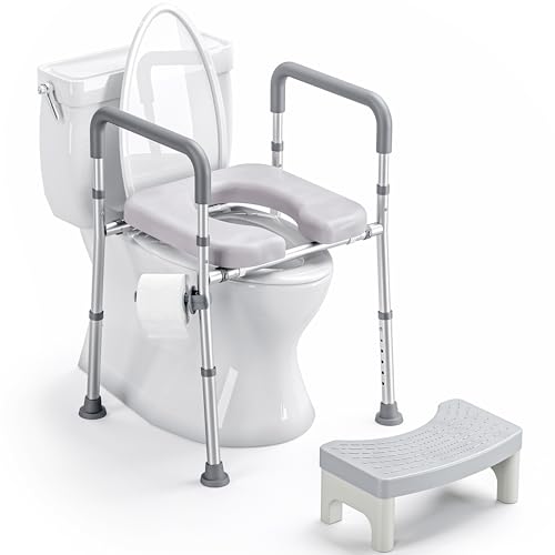 Rialzo per Sedile WC per Anziani Aenza Agabello, Regolabile in Altezza e Larghezza, Telaio di Sicurezza per WC con Braccioli, Sedile Rialzato con Imbottitura Rimovibile (Grigio)