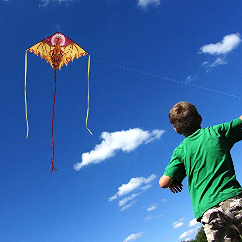 Dragon Kite For Kids Adults, Easy To Fly Best Delta Beach Kite, 300Ft Kite String(Fiery) #TOP1