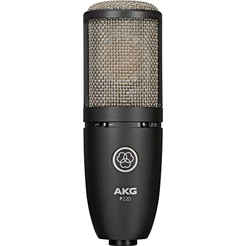 Akg AKG3101H00420K4 Project Studio P220 Large-Diaphragm Cardioid Condenser High-Performance Microphone Bundle thumb #2