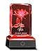Smyla 3D LED-Glas mit Gravur (Namen & Datum) I Beziehungs-Geschenk für den Partner I personalisierte Kristall-Lampe mit Rose I LED-Glas für Freund & Freundin zum Jahrestag, Valentinstag, Weihnachten