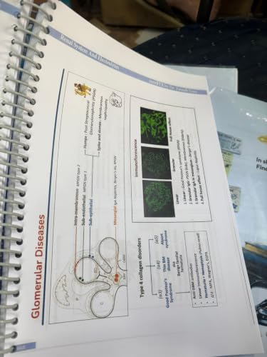 Image of core btr 3.0 book annotated by zainab vora full colourd notes