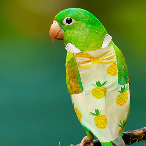 Dnoifne Bird Diapers Flight Set with Green Leash, Bird Diaper with Cute Pattern, Washable and Reusable Parrot Nappy, Pet… - Image 3