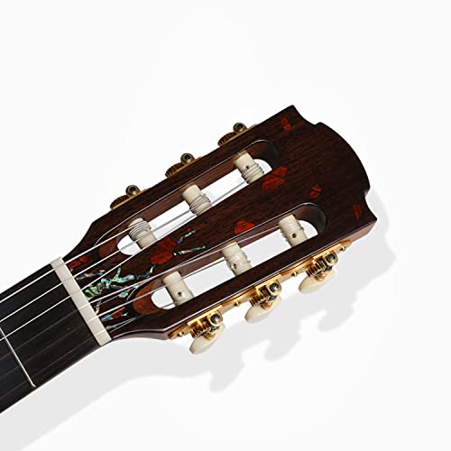 SheIRin Débutant 39 Pouces Guitarra Acustica Solid Top Cutaway Guitar Bundle Kit avec Gig Bag Tuner Capo Picks Strap… - Les Beatles, Paul McCartney, John Lennon, RIngo Starr, George Harrison SheIRin Débutant 39 Pouces Guitarra Acustica Solid Top Cutaway Guitar Bundle Kit avec Gig Bag Tuner Capo Picks Strap… – Image 4