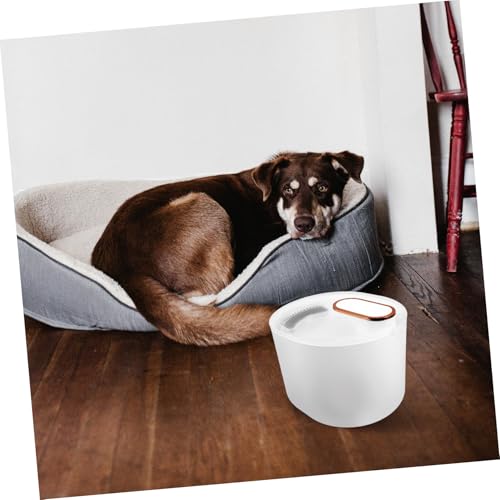 Fuente automática para mascotas para gatos y perros miniatura 3