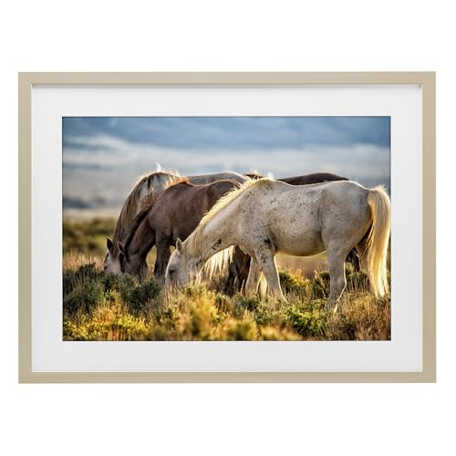 Cadre photo cheval marron Equine Evening Graze sous verre Stupell Industries