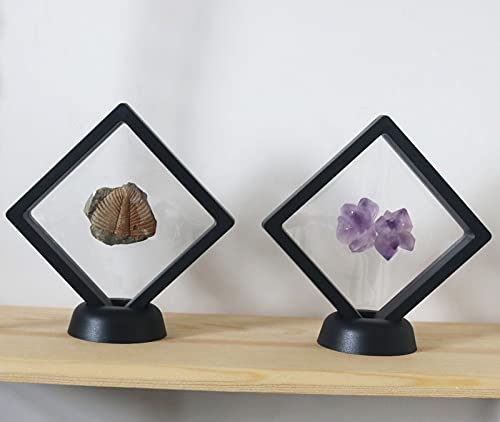 Set de 10 estuches transparentes para monedas con soporte miniatura 3