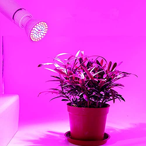 ノーブランド品 植物ランプスペクトル植物ライト人工植物成長ランプ80-植物成長ライト温室ガーデンE27用のフルスペクトルライト の商品画像 1