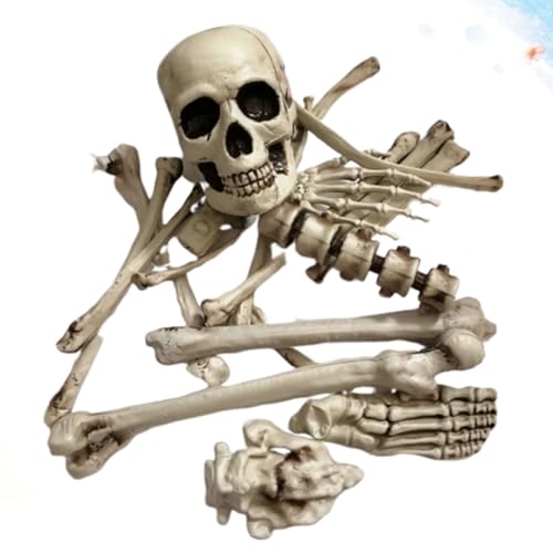 Accesorios de esqueleto para Halloween: transforma tu casa embrujada con realismo terrorífico 6