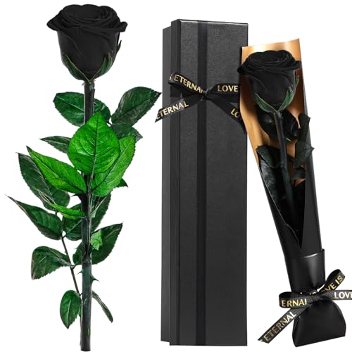 Touloube Rose Eternelle Préservée Cadeau pour Femmes pour la Saint-Valentin, Fleur Bleu Cadeau Femme, Idee Rosee Cadeau pour Elle, Maman Amie Épouse Sœur Mamie,...