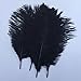 Shekyeon Black 10-12inch 25-30cm Ostrich Feather Home Decoration DIY Craft Pack of 10