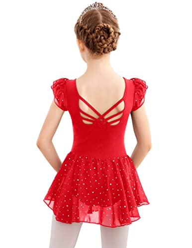 Image of Arshiner Girls Shiny Ruffle Sleeve Ballet Leotard with Skirt Criss-Cross Back Dance Dresses