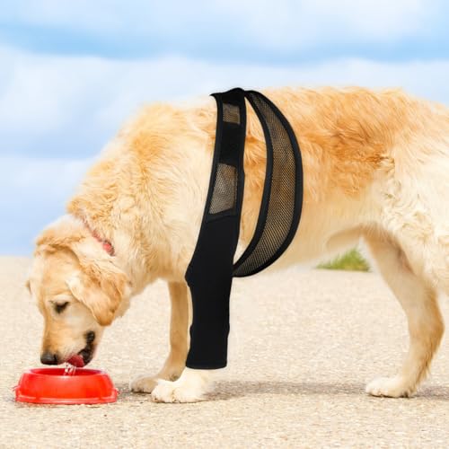 HYTROVE Hundebeinstütze Aus Neopren Elastischer Beinschutz Für Vorder- Und Hinterbeine Atmungsaktiv Gelenkschutz Und Knochenschutz Für Hunde Nach Operation 13.39X11.42X0.79In Schwarz XL