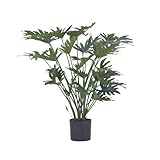 Plant in a Box