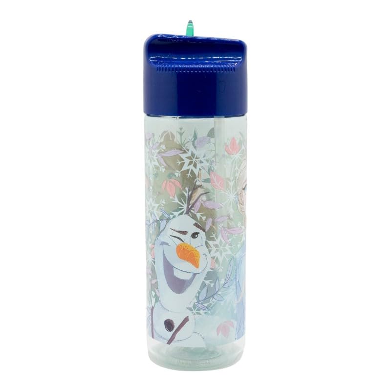 Image of STRIDERS LARGE ECOZEN BOTTLE FROZEN SHOWY TALE 540 ML