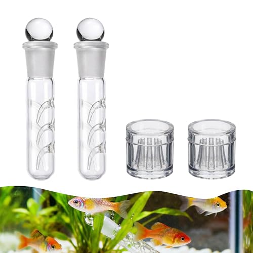 4 Stück Planarienfalle, Klarglas Planaria Falle, 3 Loch Glas Planaria Trap und 8 Loch Glasfallen, Geeignet für Aquarien und Fischbecken