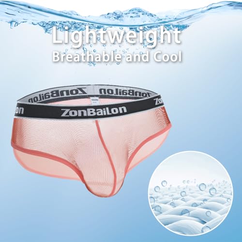 Men's Mesh See Through Briefs Underwear Sexy Transparent Sheer Briefs Ultra Thin4