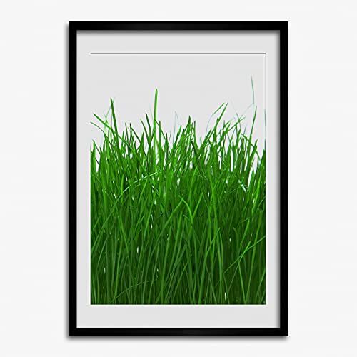 Cadre photo herbe 50x70 cm Tulup pour affiche qui ne gondole pas