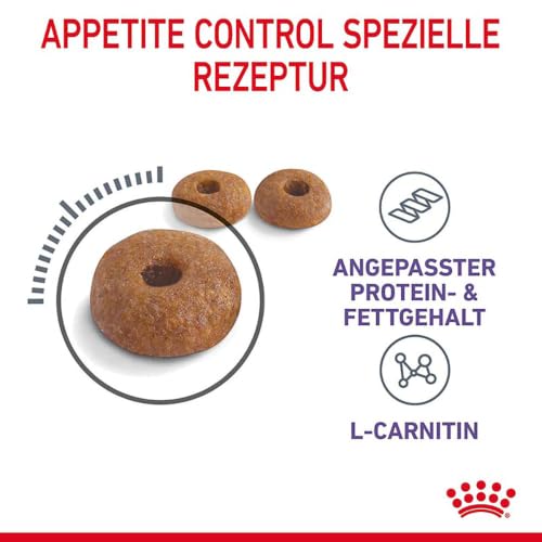 Royal Canin Appetite Control Care | 2 kg | Trockenfutter für ausgewachsene Katzen bis zum 7. Lebensjahr | Zur Kontrolle des Bettelverhaltens | Auch für kastrierte Katzen