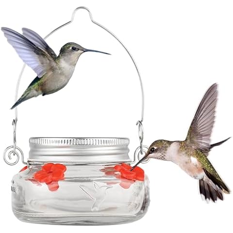 Nature's Way Mason Jar Hummingbird Dish Feeder Cover