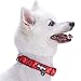Blueberry Pet 7 Patterns Soft & Comfy Scottish Aileen Red Plaid Tartan Style Designer Padded Adjustable Dog Collar, Medium, Neck 14.5