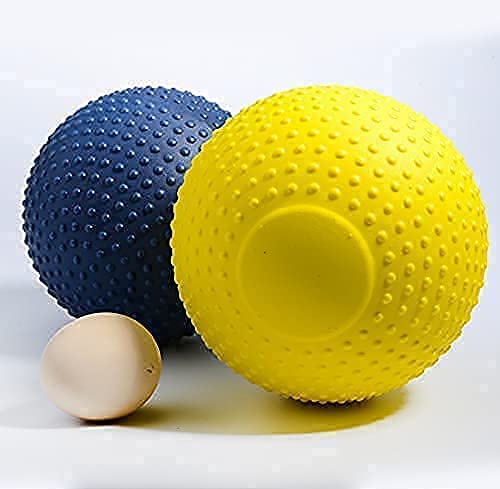 Thiopar Dog Toys Balls, Herding Ball For Dogs,Almost Indestructible Dog Ball, Outdoor Christmas Durable Dog Toys ，Interactive Balls For Small/Medium Dogs, Dog Ball Float On Water Fetch Bouncy Solid #TOP4