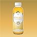 SYNERGY The Real Kombucha - Pure - 16 fl oz Bottle - Raw Probiotic Drink for Gut Health and Immune Support