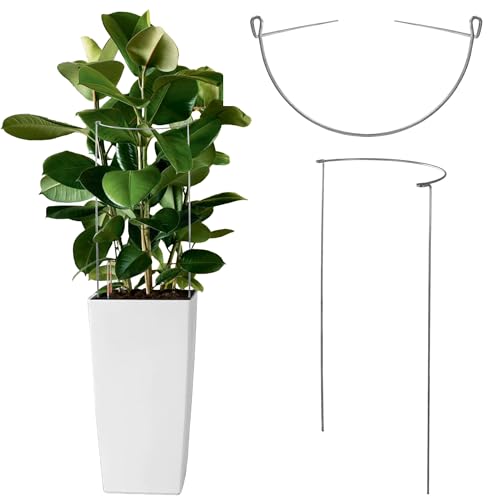 KADAX Support pour plantes de 100 cm - Support stable pour plantes semi-circulaires - En acier - Support solide pour rosiers - Support pour arbustes - Support pour plantes grimpantes