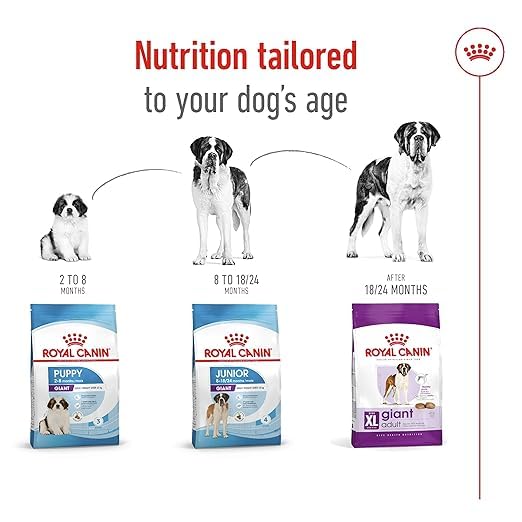 Image of Royal Canin Giant Adult Dog Food, 4 Kg, Dry Food, Supports Healthy Joint, Digestive Health & Optimal Vitality Complex