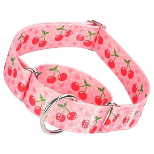 Martingale Dog Collar 1.5in Nylon No-Pull - Pink Cherry