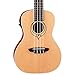 Luna Heartsong Spruce Acoustic/Electric Concert Ukulele with USB Preamp & Gig Bag, Satin Natural