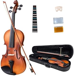 Violino para iniciantes regulagem cavalete estandarte ideal
