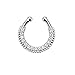 20 Pcs Nose Ring Septum Piercing Jewelry,Cubic Fake Septum Nose Ring for Women Non Piercing Clip On Body Piercing Jewelry by Team-Management
