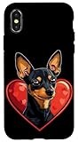 Pinscher nain Chien de Saint-Valentin