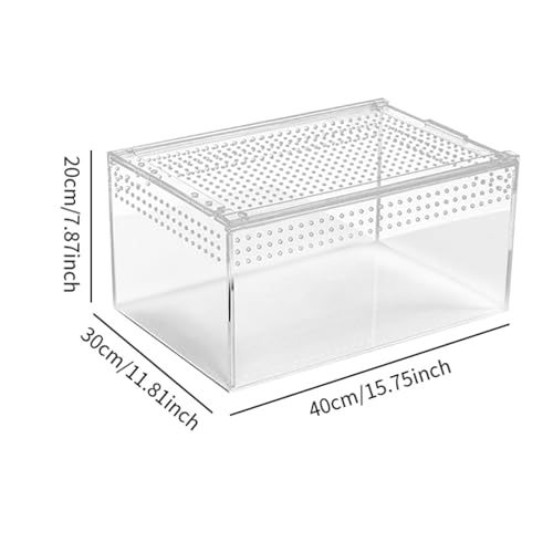 Ｂｅｓｇａ Terrário de répteis Recipiente para habitat de répteis Recipiente de acrílico transparente par