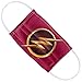 Popfunk The Flash: TV Series Chest Logo 1-Ply Reusable Face Mask Covering, Unisex