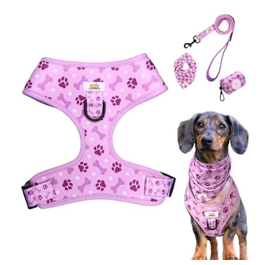 Comprehensive Puppy Harness and Leash