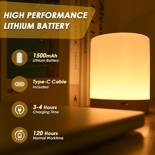 Image of Desidiya Touch Control LED Touch Bedside Night Light,Changing Dimmable Light for Kids,3 Colors LED Lamp with Warm White Lights,USB Rechargeable, Bedside Night Light, Soft Eye Caring
