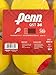Penn QST 36 Tennis Balls - Youth Foam Red Tennis Balls for Beginners