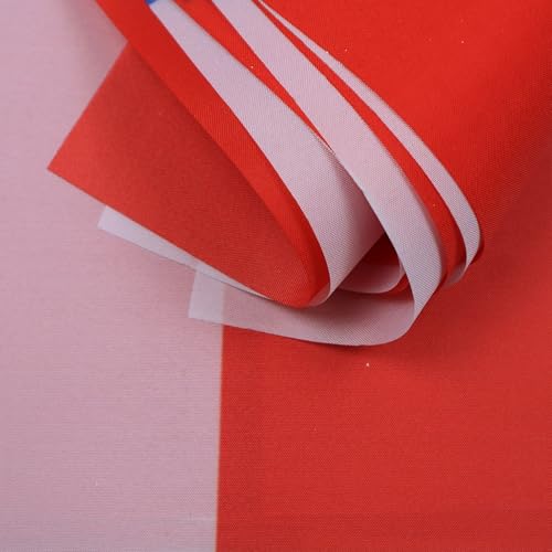 Image of AZ FLAG Chile 6 meters BUNTING Flag 20 flags 9'' x 6'' - Chilean STRING flags 15 x 21 cm