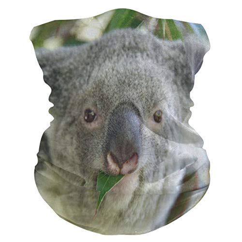 Koala Eating Grass Leaves Half Face Mask Scarf Cover Dust Wind Neck Gaiter
